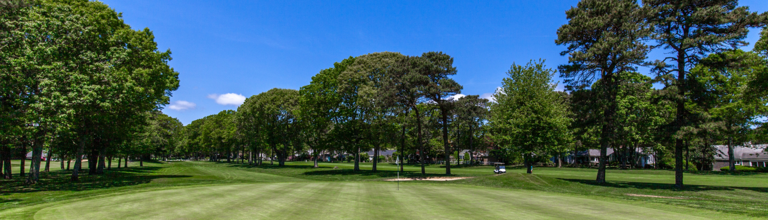 A lush green golf course with well-manicured grass, surrounded by tall trees under a clear blue sky on a sunny day.