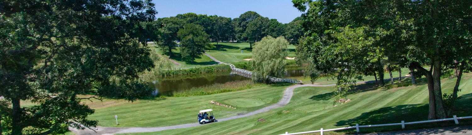 A green golf course with trees, a winding path, a small pond, a wooden bridge, and a golf cart driving on the path under a clear blue sky at Blue Rock Golf Course.